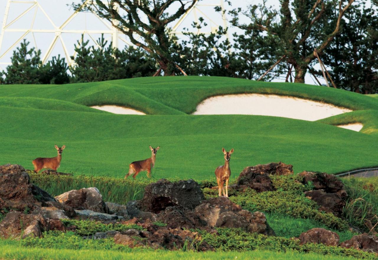 Ardenhill Resort & Golf Чечжу Екстер'єр фото